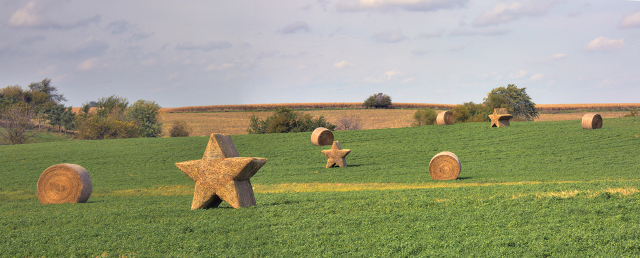 Sue Berkey — The Star Bales