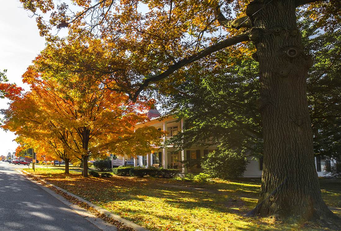 McElhinny House