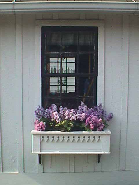 Wood Shed Window